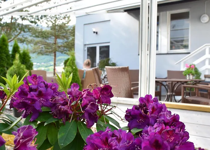 Hotel Nordfjord - Bryggen Nordfjordeid